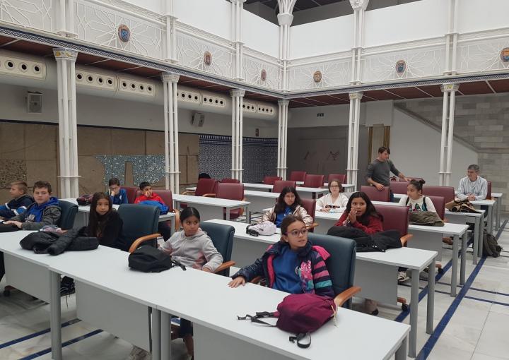 CEIP Luis Calandre de Cartagena, CEIP Francisco Salzillo de Murcia, CEIP Contraparada de Murcia 