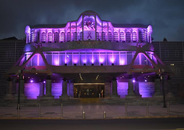Foto de archivo: fachada principal de la Asamblea Regional iluminada con motivo del Día Internacional de la Mujer Foto de archivo: fachada principal de la Asamblea Regional iluminada con motivo del Día Internacional de la Mujer