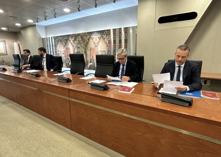 Ruedas de prensa. Valoraciones de los Grupos Parlamentarios y de la compareciente Alicia Barquero sobre la Comisión Especial contra la Discriminación y Violencia de Género 