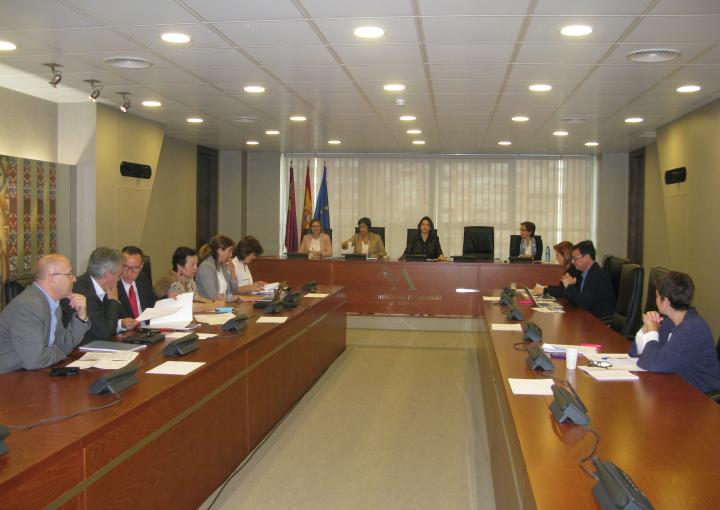 Ruedas de prensa tras la Comisión Especial de Discapacidad