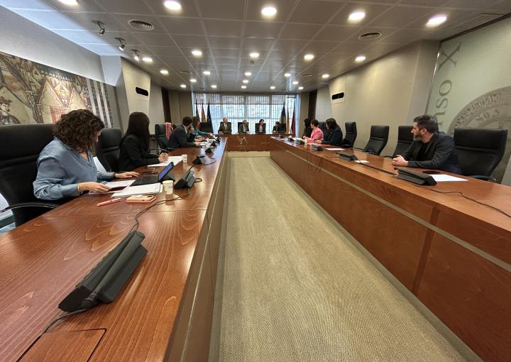 Se constituye la Comisión Especial de Investigación sobre derivaciones presuntamente irregulares del SMS a la sanidad privada Se constituye la Comisión Especial de Investigación sobre derivaciones presuntamente irregulares del SMS a la sanidad privada