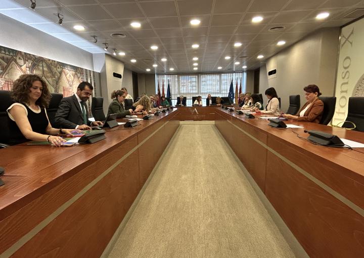 Reunión de la Diputación Permanente
