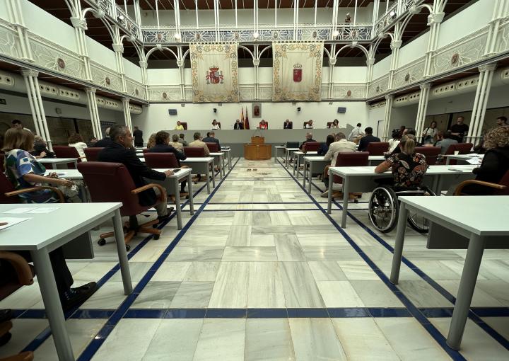Sesión Plenaria: Elección, en su caso, de la Comisionada de Transparencia de la Región de Murcia Sesión Plenaria: Elección, en su caso, de la Comisionada de Transparencia de la Región de Murcia