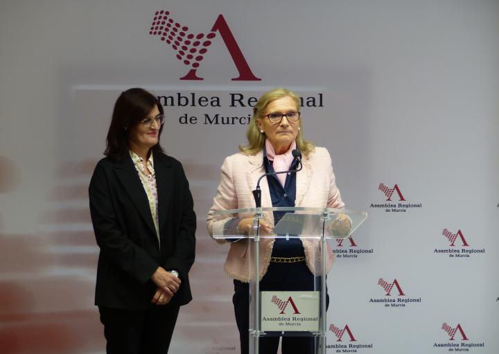Ruedas de prensa tras la Comisión Especial de Discapacidad