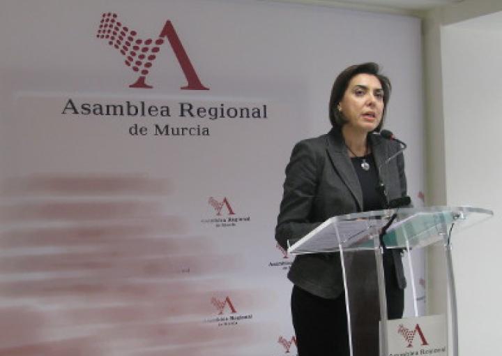 Ruedas de prensa previas a la Sesión Plenaria (segunda reunión)