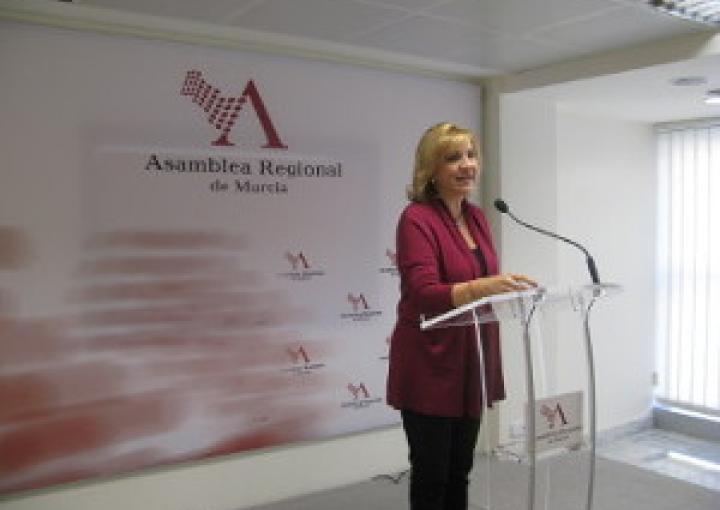Ruedas de prensa previas a la Sesión Plenaria (primera reunión)