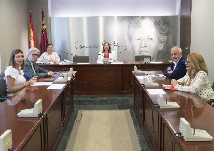 Constitución formal de los cuatro grupos parlamentarios Constitución formal de los cuatro grupos parlamentarios