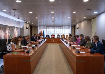 Reunión de la Diputación Permanente