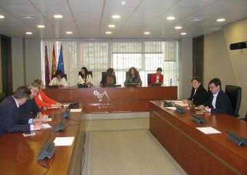 Comisión Especial contra la Discriminación y Violencia de Género. Comparecencia de Alicia Barquero, directora general de Mujer