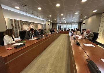 Reunión de la Diputación Permanente