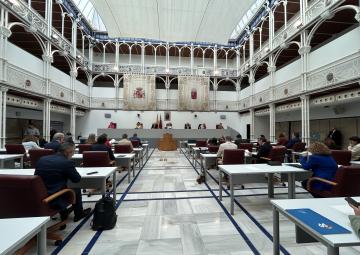 Reunión del Pleno de la Asamblea Regional en sesión de impulso al Consejo de Gobierno