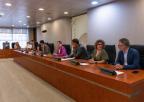 Reunión de la Diputación Permanente
