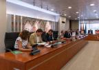 Reunión de la Diputación Permanente