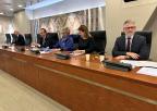 Comparecencia de la vicepresidenta de ACEIMUR, Araceli Valdés Arroyo, ante la Comisión de Educación y Cultura