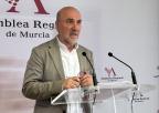 Grupo Parlamentario Mixto