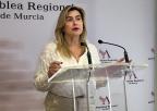 Grupo Parlamentario Socialista