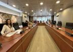 Reunión de la Comisión Especial de Estudio para abordar el Reto Demográfico y la Despoblación en la Región de Murcia