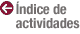 INDICE DE ACTIVIDADES
